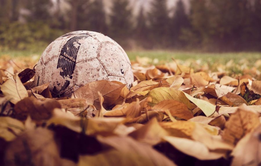 HHS Girls' Soccer Team Shoots for the Stars