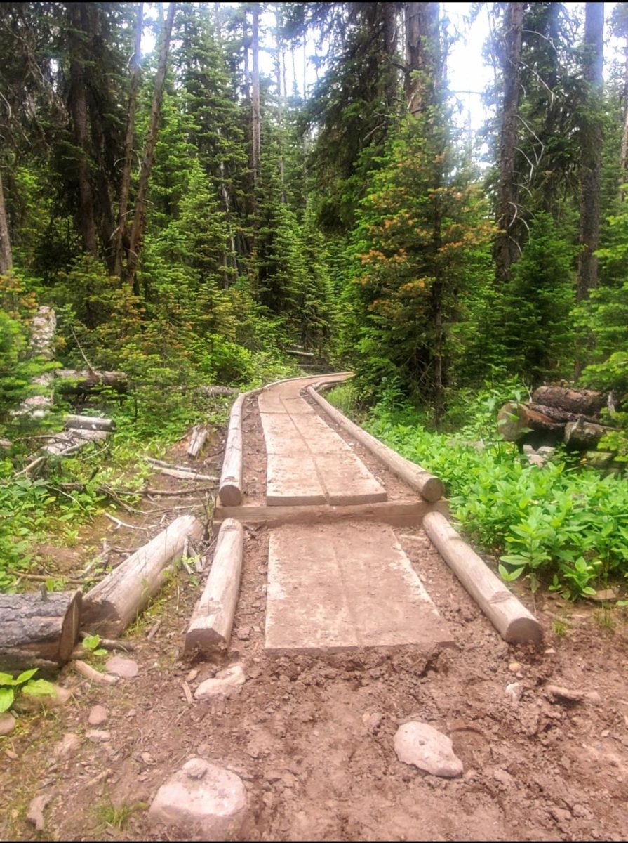 A punch-in bridge on the Scapegoat side of the Bob Marshall Wilderness